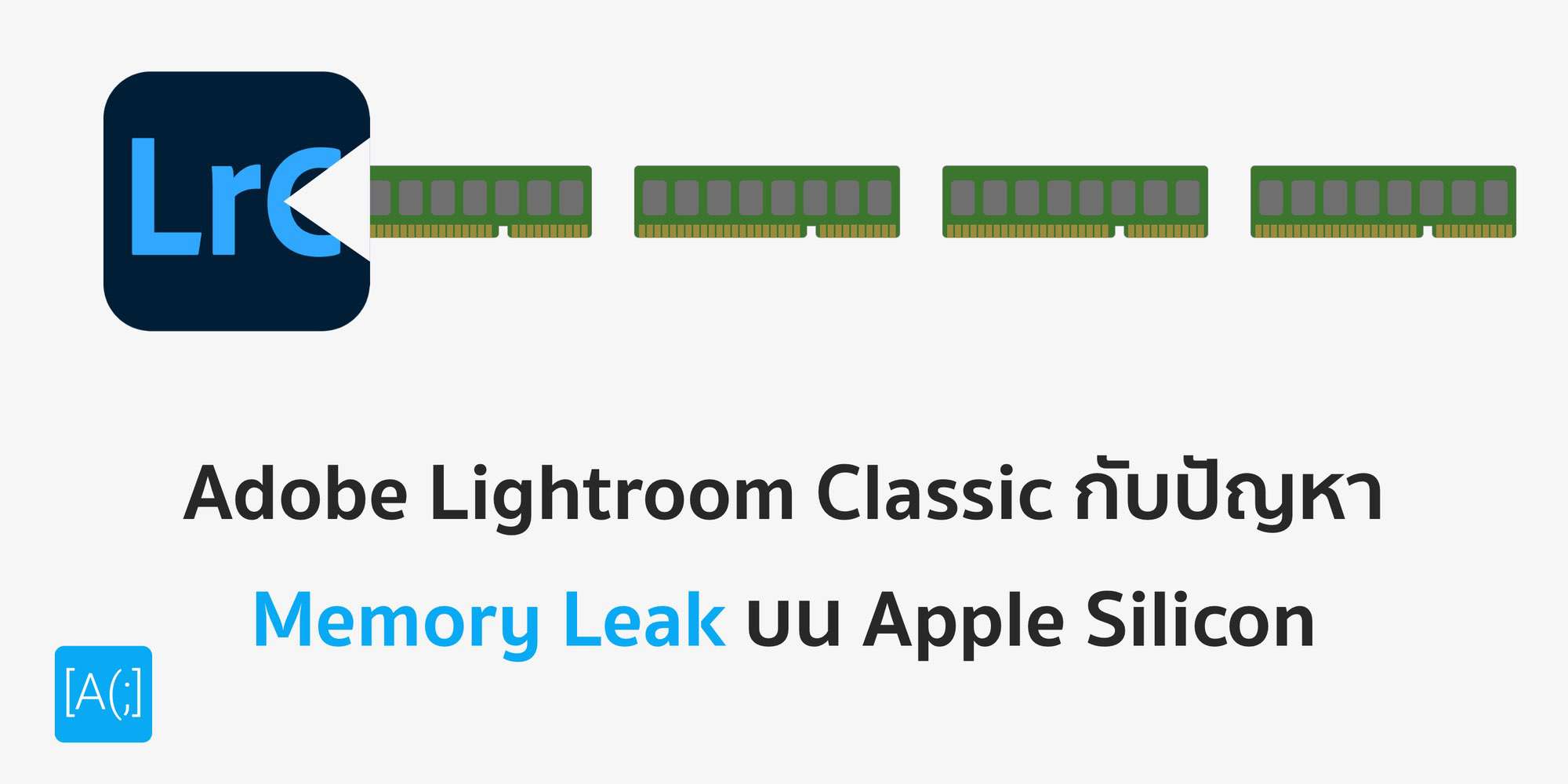 Adobe Lightroom Classic กับปัญหา Memory Leak บน Apple Silicon พร้อมวิธีแก้ปัญหา