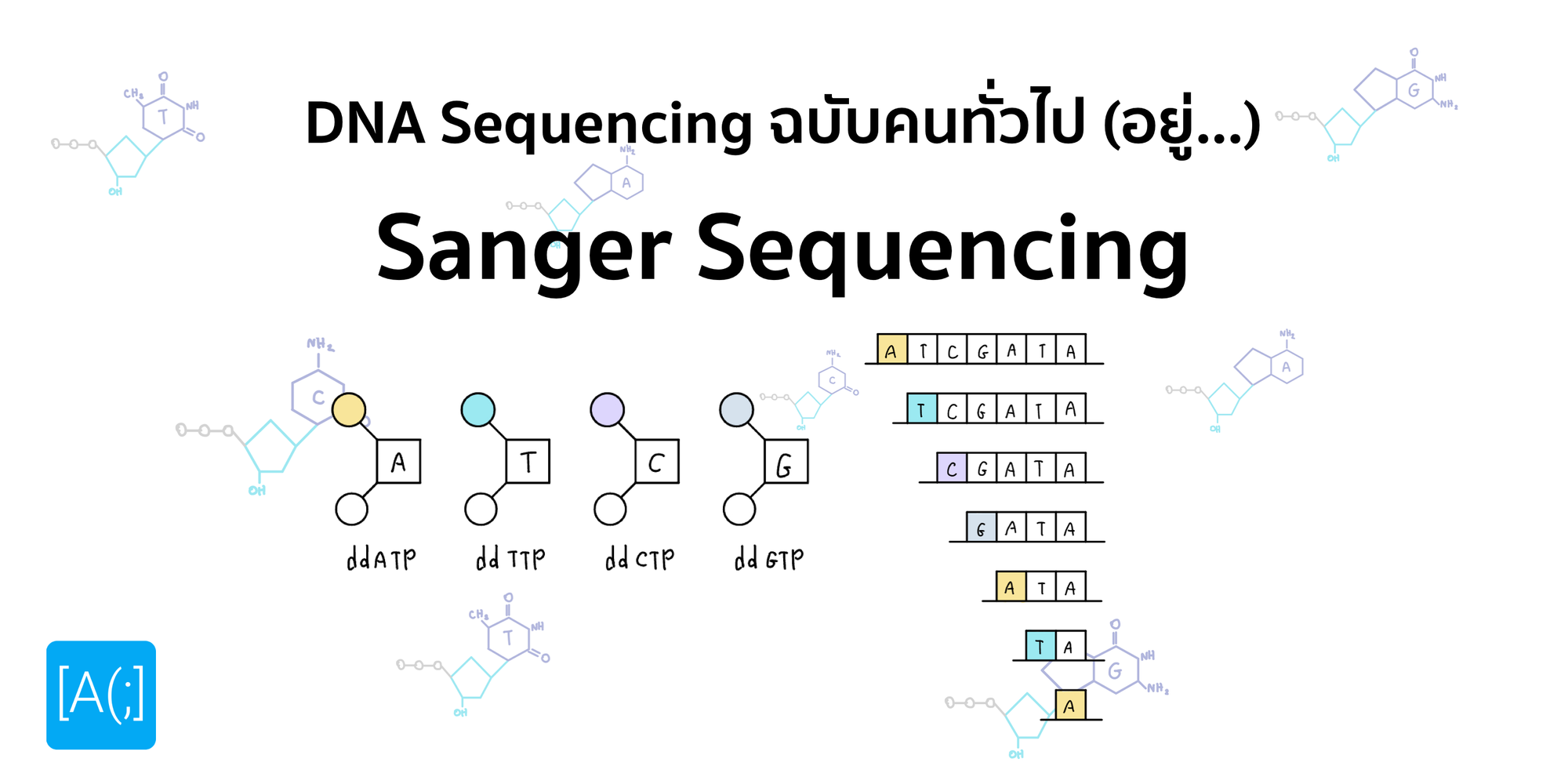 DNA Sequencing ฉบับคนทั่วไป (อยู่) ตอน 2 : Sanger Sequencing