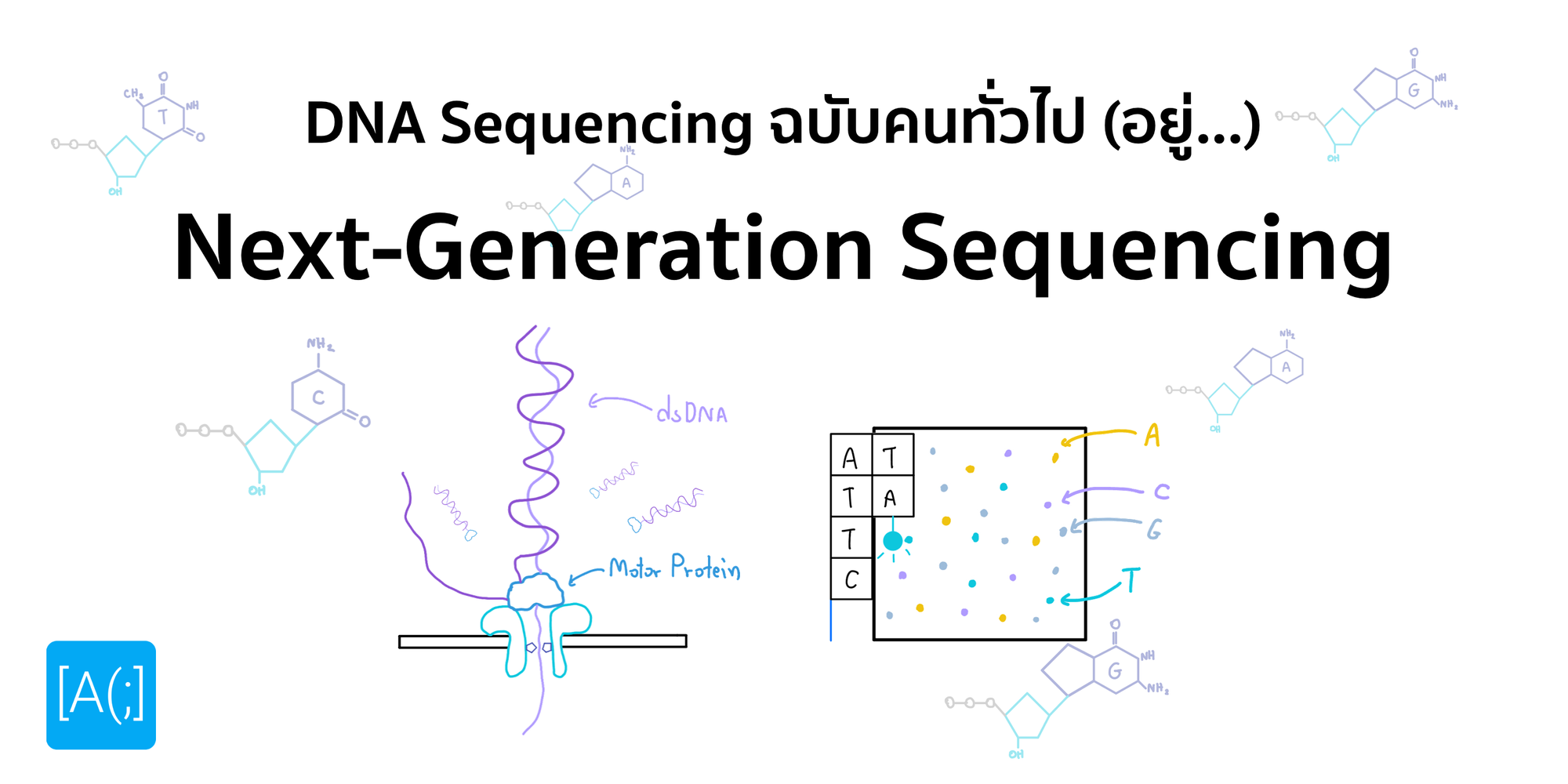 DNA Sequencing ฉบับคนทั่วไป (อยู่) ตอน 3 : Next-Generation Sequencing