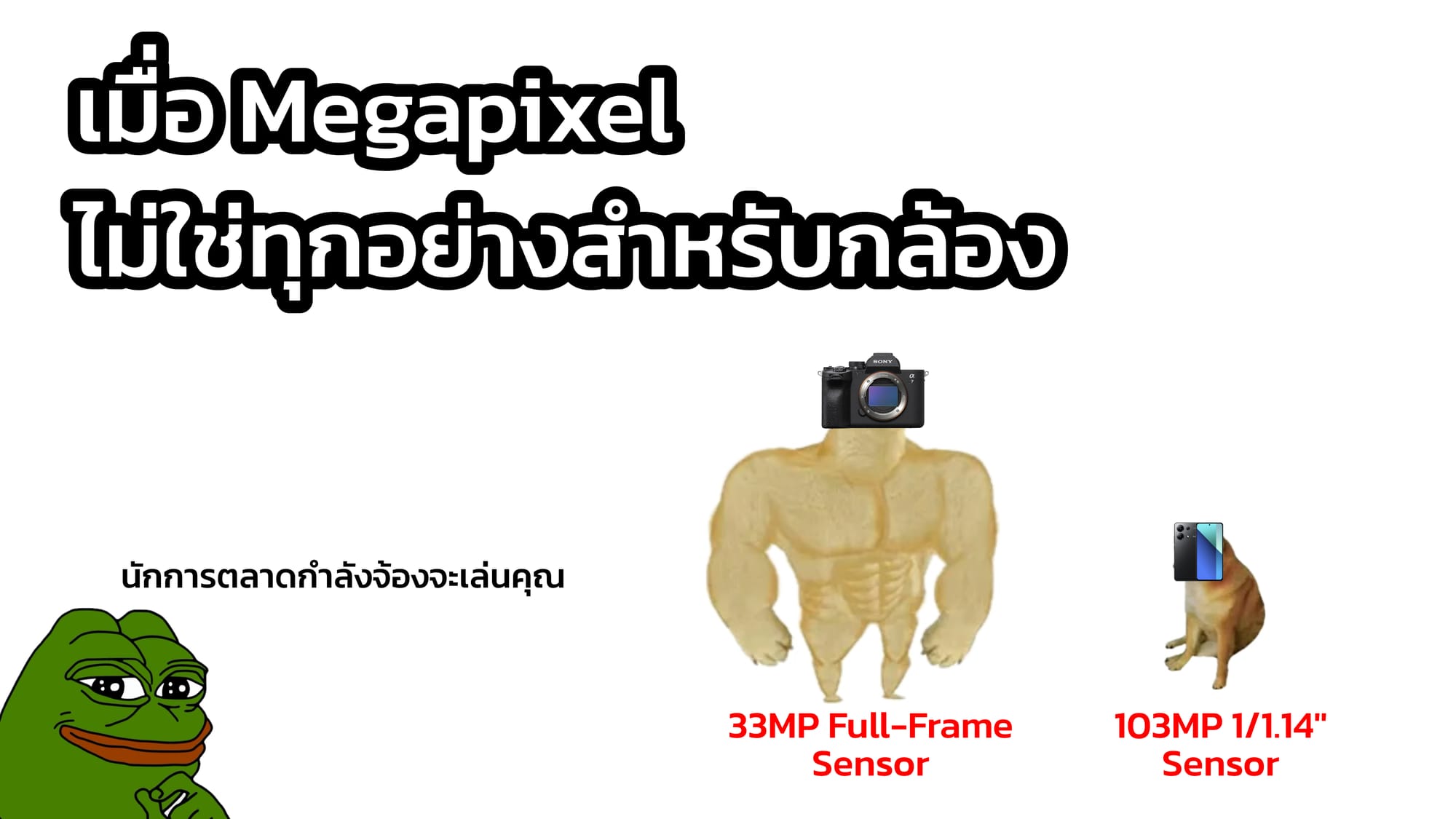 เมื่อ Megapixel ไม่ใช่ทุกอย่างสำหรับกล้อง